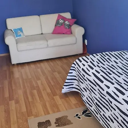 Viihtyisae Ja Kodikas Omakotitalo Isolla Pihalla *